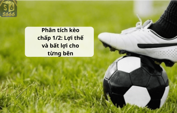 Phân tích kèo chấp 1/2: Lợi thế và bất lợi cho từng bên