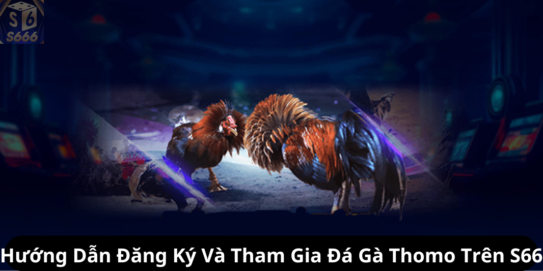 Hướng Dẫn Đăng Ký Và Tham Gia Đá Gà Thomo Trên S66